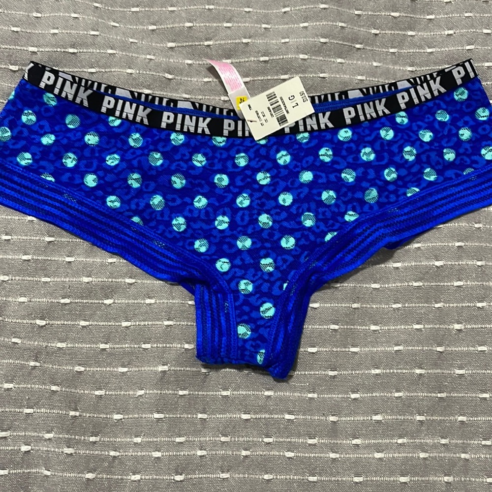 NWT PANTIES